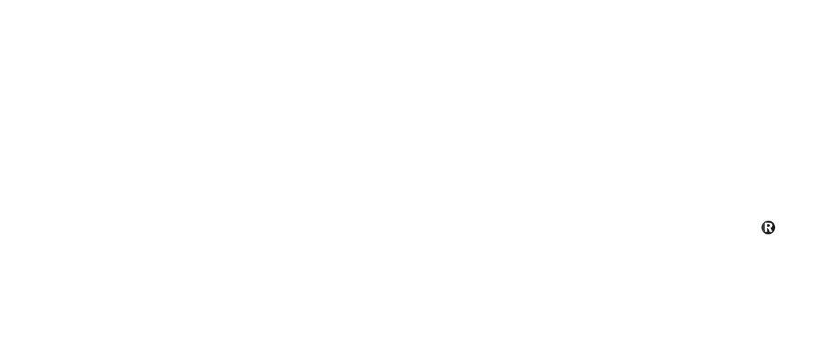 Storm Audio Logo